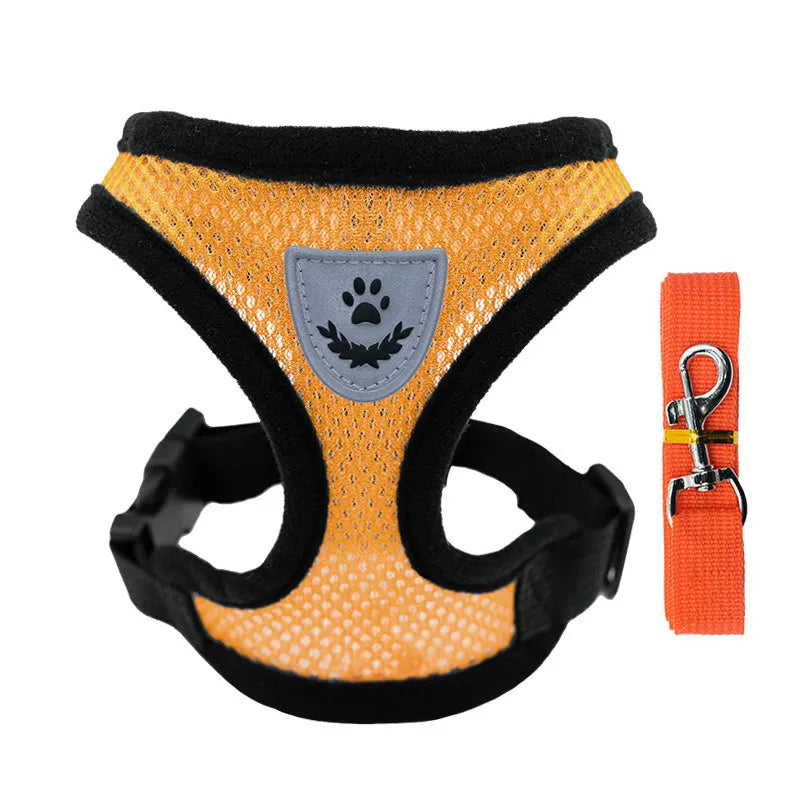 Breathable Mesh Harness and Leash Set – For Small Dogs