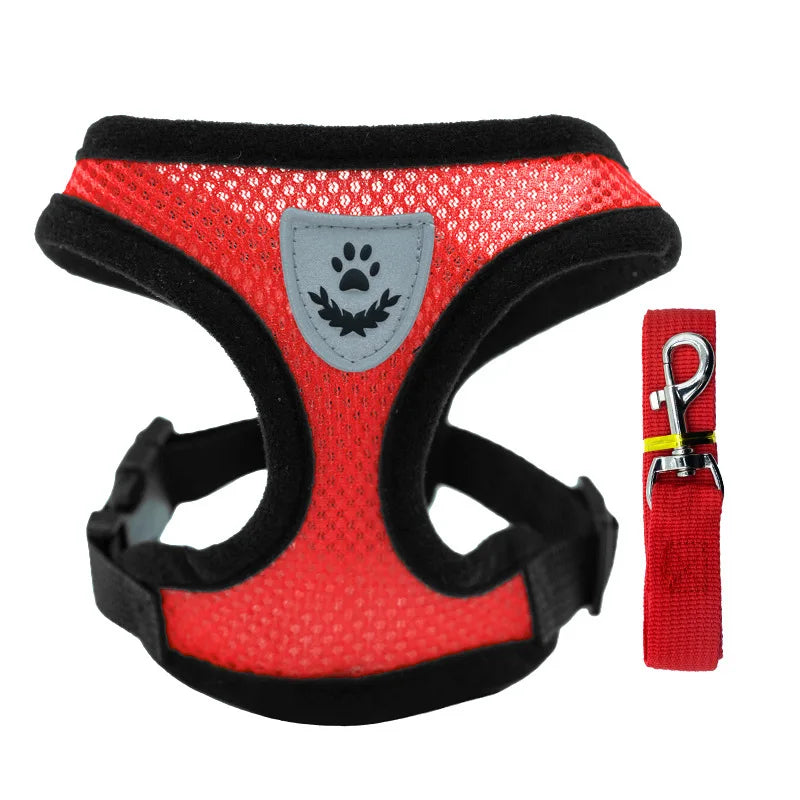 Breathable Mesh Harness and Leash Set – For Small Dogs