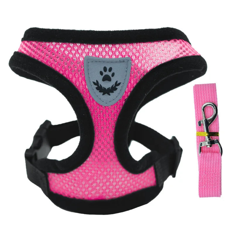 Breathable Mesh Harness and Leash Set – For Small Dogs